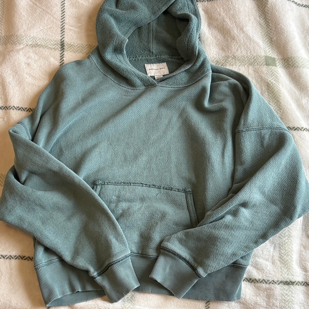 American Eagle Outfitters Teal Hoodie Sweater